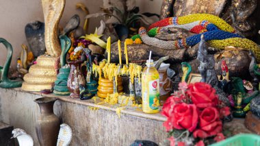 Koh Samui adasındaki tapınakta mumyalanmış keşiş Wat Khunaram