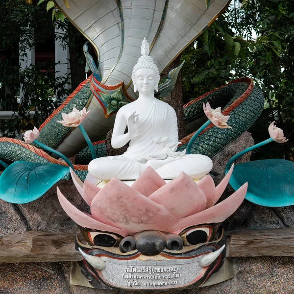 Monge Mumificado Templo Wat Khunaram Ilha Koh Samui — Fotografia de Stock