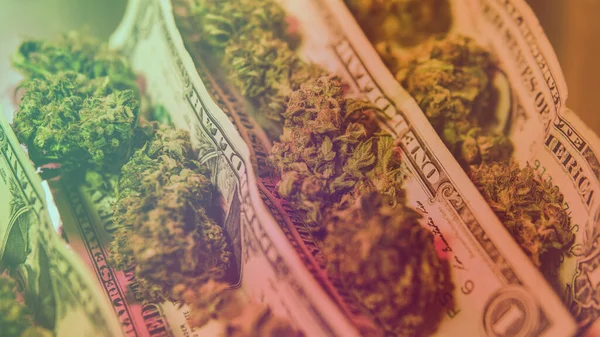 Medicinsk Marijuana Och Legalisering Marijuana Världen — Stockfoto