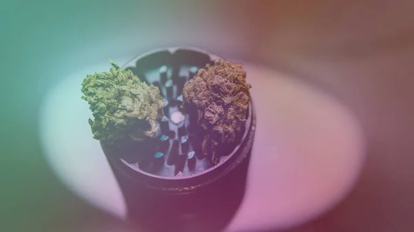 喫煙のための準備医療用Thc Cbd大麻の芽 — ストック写真