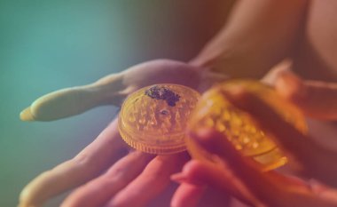 Tıbbi marihuana ve dünyadaki marihuananın yasallaştırılması.