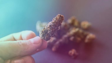 Otun tıbbi türlerini iyileştirmek