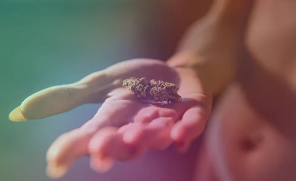 Maconha Medicinal Legalização Maconha Mundo — Fotografia de Stock