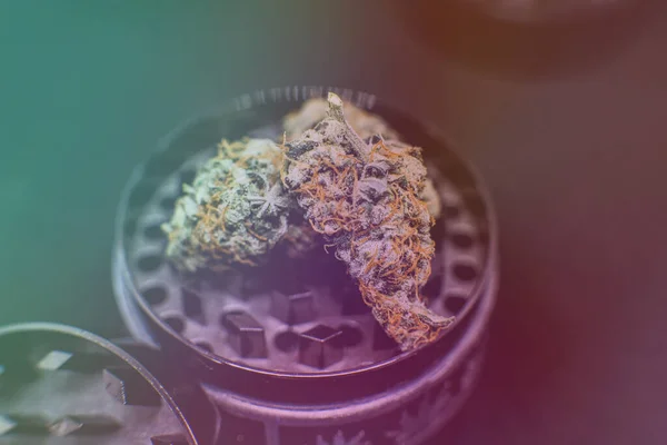 Medical Marijuana Legalization Marijuana World — Stock Photo, Image