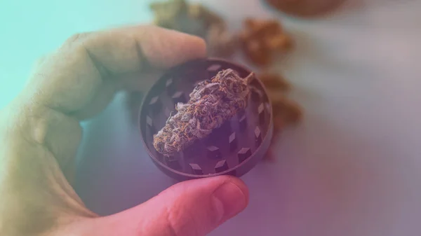 Marihuana Medicinal Legalización Marihuana Mundo — Foto de Stock