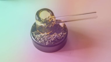 Erkeklerin elindeki taze marihuana tomurcuklarına bakıyorum..