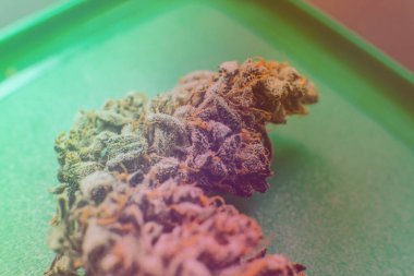 Tıbbi marihuana ve dünyadaki marihuananın yasallaştırılması.