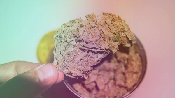 Marihuana Medicinal Legalización Marihuana Mundo — Foto de Stock