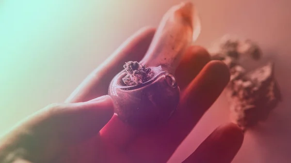 Controleren Van Verse Marihuana Knoppen Mannelijke Handen — Stockfoto