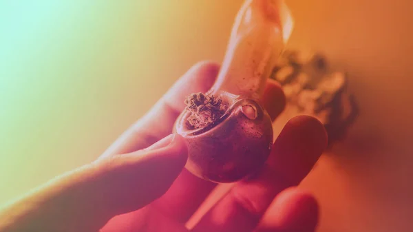 Checking Fresh Marijuana Buds Male Hands — Stock Photo, Image