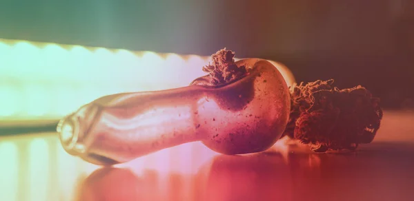 의학용 잡초의 변종을 — 스톡 사진