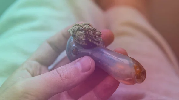 Listos Brotes Cannabis Medicinal Thc Cbd Para Fumar —  Fotos de Stock