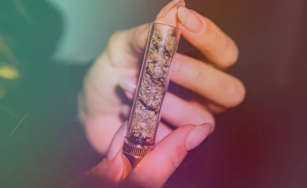 Überprüfung Frischer Marihuana Knospen Männlichen Händen — Stockfoto