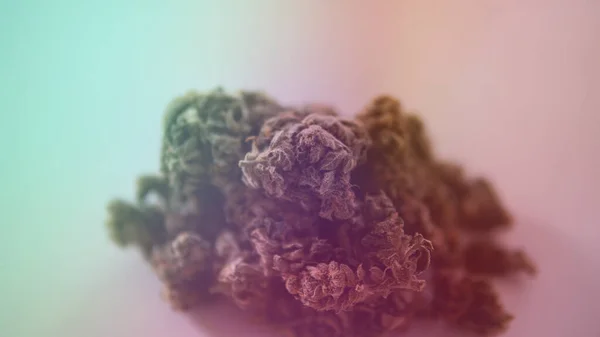 Marijuana Medica Legalizzazione Della Marijuana Nel Mondo — Foto Stock