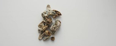 Psilosibin mantarlarının tıbbi araştırmaları