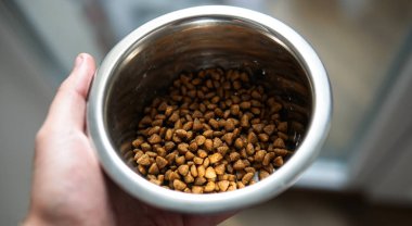 Küçük köpek yavruları için kuru yiyecek. Chihuahua Köpekleri için Doğru Beslenme