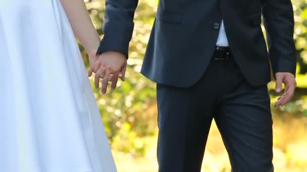 Sposa e sposo camminano tenendosi per mano — Video Stock