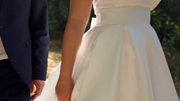 Bride and groom walk in beautiful park — Stock Video