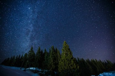 Güzel bir gece kış yıldızlı gökyüzü çam ormanı üzerinde toplayan, uzun pozlama fotoğraf gece yarısı yıldız ve karlı woods manzara