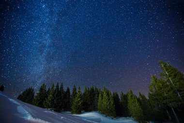 Güzel bir gece kış yıldızlı gökyüzü çam ormanı üzerinde toplayan, uzun pozlama fotoğraf gece yarısı yıldız ve karlı woods manzara