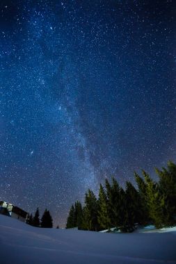 Güzel bir gece kış yıldızlı gökyüzü çam ormanı üzerinde toplayan, uzun pozlama fotoğraf gece yarısı yıldız ve karlı woods manzara