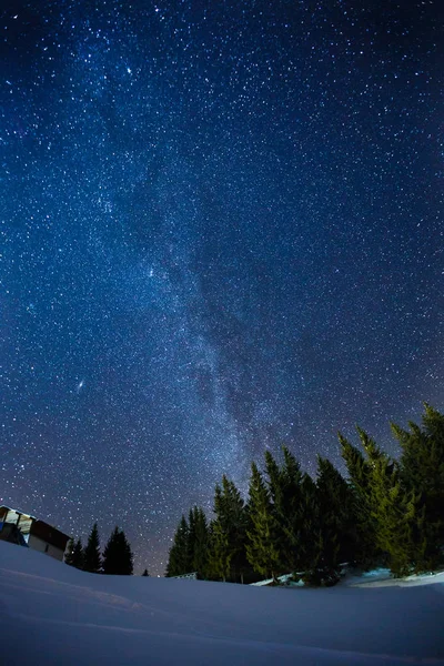 Güzel bir gece kış yıldızlı gökyüzü çam ormanı üzerinde toplayan, uzun pozlama fotoğraf gece yarısı yıldız ve karlı woods manzara — Stok fotoğraf