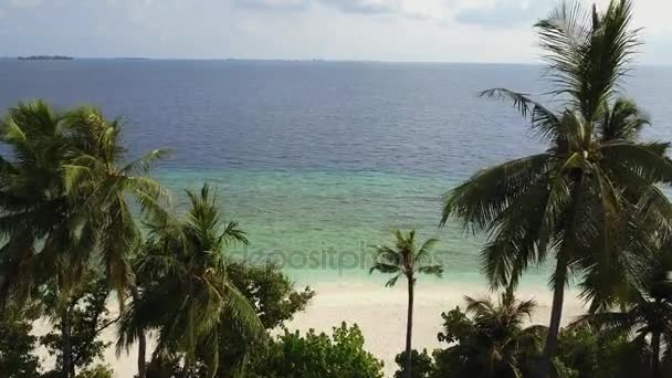 Macchina fotografica vola attraverso le palme sopra la spiaggia tropicale di sabbia bianca e l'oceano Indiano turchese sulle Maldive, riprese drone dall'alto in 4k — Video Stock