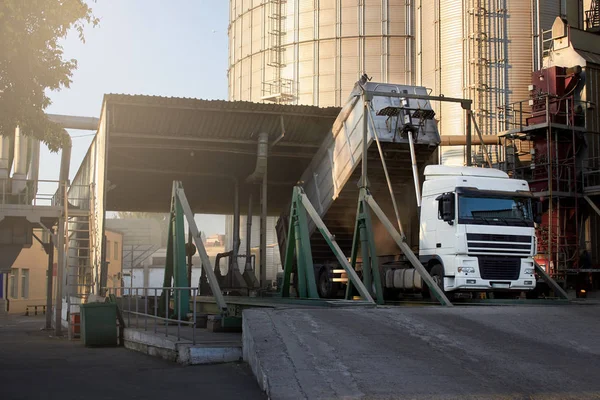 Boşaltma tahıl kamyonette yükselen hidrolik platform boşaltma asansöre. Tahıl büyük denizde aktarma Limanı, terminal bitkileri.