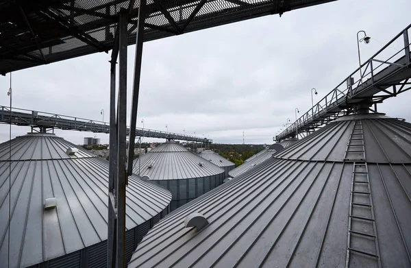 Un moderno terminale di grano. Serbatoi metallici di ascensore. Costruzione complessa di essiccazione del grano. Silos commerciali di cereali o semi nel porto marittimo. Stoccaggio dell'acciaio per il raccolto agricolo . — Foto Stock