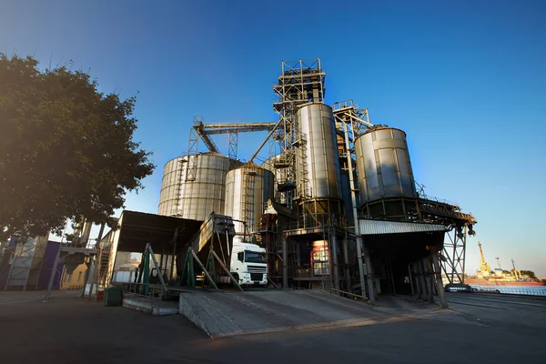 Unloading grain truck at elevator on elevating hydraulic platform unloader. Grain crops transshipment at big sea terminal at seaport.