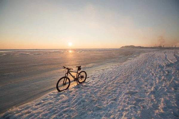 Dağ bisikleti Karda donmuş deniz veya göl yanında kal. Kış Bisiklet işletme ve bakım. Çivili lastikler — Stok fotoğraf