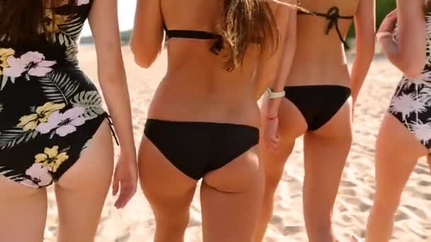 Vue arrière de trois femmes de race mixte âne marchant sur la plage de sable tropical près de l'océan. slim attrayant filles amis wag avec jolie bronzé fesses sur bord de mer portant maillots de bain et jeans shorts dans lent — Video