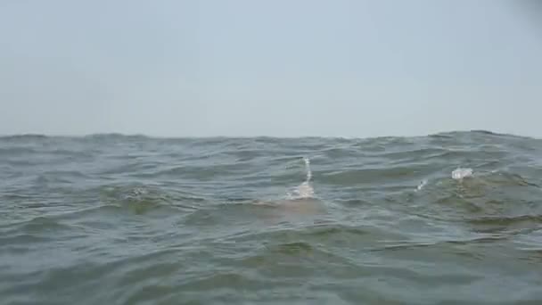 Attraktive Frau mit großen Brüsten taucht bei Sonnenuntergang aus dem Wasser in einem Meerwasser auf. ziemlich feucht lächelndes Mädchen im Badeanzug und blickt in die Kamera. Zeitlupe. — Stockvideo