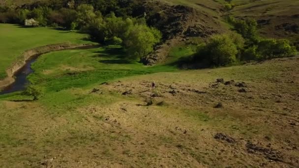 Aerial video of man walking in picturesque valley on green grass towards a river. Drone tracking shot of backpacker hiking in the mountains and hills. Hiker goes to the river. — Stock Video