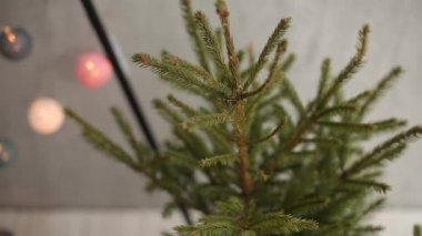 Şık Noel İskandinav iç ayrıntılar. Konfor nordic Yılbaşı dekor ile ev. Çelenk, dekorasyon ve ışık oda ışıkları ile çevre dostu minimalist Noel ağacı.