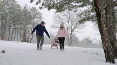 Karlı kış gününde mutlu aile kızakları. Baba ve anne kızlarını kar yağarken kızağa çekiyor. Oğlan ve kız açık havada kızak çekerler. İnsanlar kızağa biniyor ve Noel tatilinin tadını çıkarıyor. Yavaş çekim.