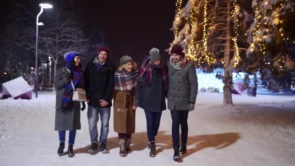 Grupo Amigos Felices Caminando Bajo Las Nevadas Diviértete Comunícate Cámara — Vídeos de Stock