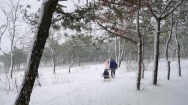 Karlı kış gününde mutlu aile kızakları. Baba ve anne kızlarını kar yağarken kızağa çekiyor. Oğlan ve kız açık havada kızak çekerler. İnsanlar kızağa biniyor ve Noel tatilinin tadını çıkarıyor. Yavaş çekim.