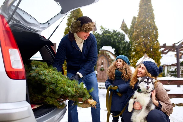 Отец принес рождественскую елку в большом багажнике внедорожника. Дочь, мать и собака встречаются папа счастливо помочь ему с праздничными украшениями дома. Семья готовится к Новому году вместе. Снежная зима на открытом воздухе — стоковое фото