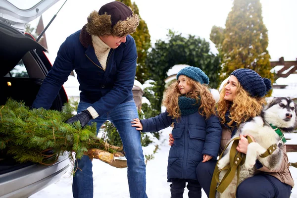Father brought christmas tree in large trunk of SUV car. Daughter, mother and dog meet dad happily help him with holidays home decorations. Family prepares for new year together. Snowy winter outdoors
