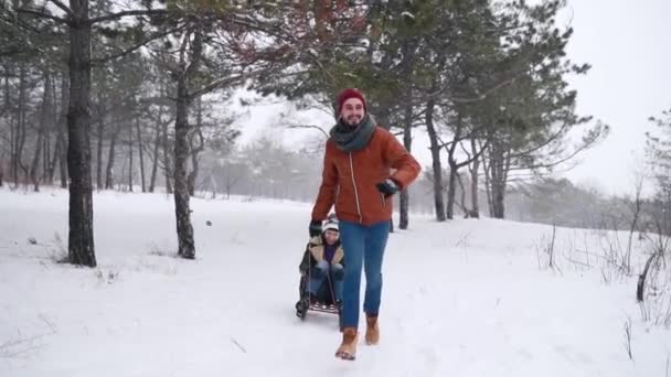 Bella coppia slittino sulla nevosa giornata invernale. Uomo tirare slitta con la ragazza sulla nevicata. Donna divertirsi e slitta all'aperto con il fidanzato. La gente gita in slitta e godersi le vacanze di Natale. Rallentatore . — Video Stock