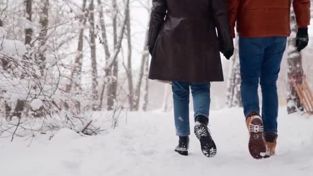 Back view of loving couple feet walking in a park on snowfall. Man and his girlfriend holding hands enjoying snow on winter day. Hipster woman stroll in snowy forest with boyfriend in stylish clothing — Stock Video