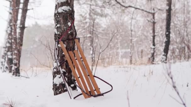 Trineo de madera vintage apoyado por abeto en el bosque de invierno nevado. Fondo nevado navideño festivo con trineo viejo apoyado en un pino bajo las nevadas. Seguimiento de disparo en cámara lenta . — Vídeo de stock