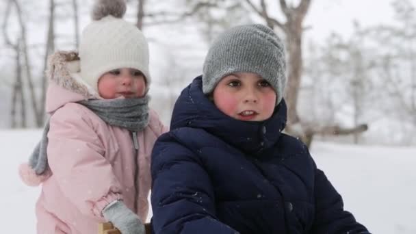 Дочка допомагає мамі тягнути санки з сином на снігопад. Щасливе сімейне катання на сніжному зимовому дні. Мила дівчинка в комбінезоні штовхає санки зі своїм братом. Хлопчик катається на санях на відкритому повітрі на різдвяні канікули — стокове відео