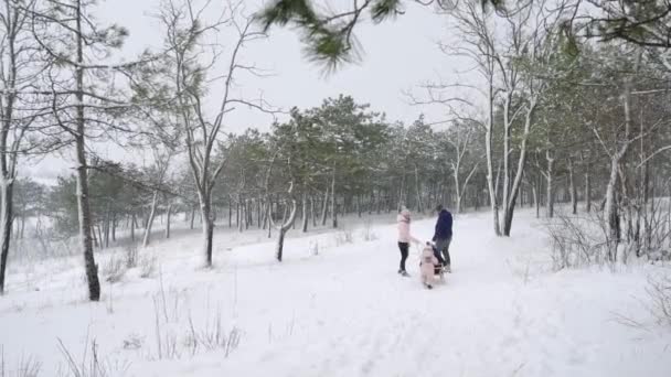 Χαρούμενη οικογενειακή βόλτα τη χιονισμένη χειμωνιάτικη μέρα. Πατέρας και μητέρα τραβούν έλκηθρο με γιο και κόρη στο χιόνι. Αγόρι και κορίτσι έλκηθρο έξω. Άνθρωποι έλκηθρο βόλτα και να απολαύσετε τις διακοπές των Χριστουγέννων. Αργή κίνηση. — Αρχείο Βίντεο