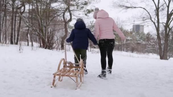 Garoto bonito em roupas quentes caminhar com sua mãe puxando trenó vintage de madeira no dia de inverno nevado. O pequenote a andar de trenó no parque na queda de neve. Mulher com criança em escalar uma colina para trenó na floresta . — Vídeo de Stock