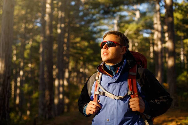 Hiker man walks in a pine yellow autumn forest. Backpacker enjoys fall landscape. Tourist wears sport sunglasses. — Stock Photo, Image