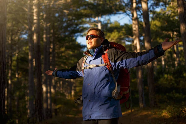 Hiker manin sunglasses walks in a pine yellow autumn forest. Backpacker enjoys golden fall landscape. Tourists spreads his hands and shouts. — Stock Photo, Image