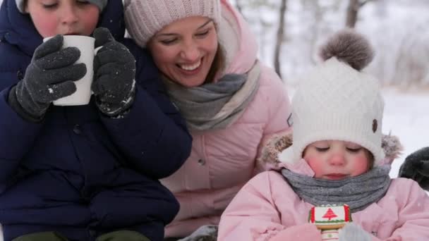 Menino bebe chá e menina come pão de gengibre de Natal em macacão depois de trenó no dia nevado. Irmão e irmã em férias de inverno juntos. Pai carinhoso e abraço de mãe, beijar crianças. Linda família. , — Vídeo de Stock