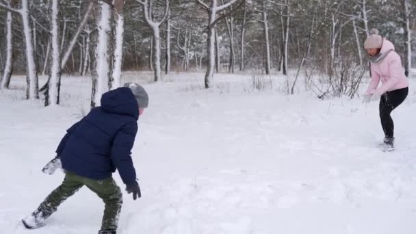 Padre, madre, figlio e figlioletta giocano a palle di neve nel bosco il giorno nevoso. Amichevole famiglia elegante divertirsi con gettare la neve nella foresta. Alla gente piacciono le vacanze invernali insieme. Rallentatore . — Video Stock